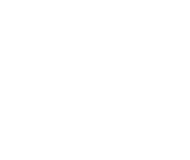 Bols